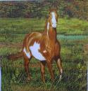 105 Horses - 3-ply - Cypress Home - CS