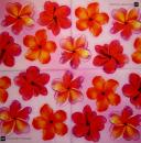 058 Orchids - 3-ply - ppd - Chris Zalewski