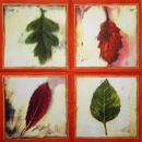 077 Plants - 3- ply (red) - Ihr