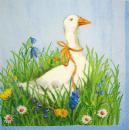 020 Ducks - 3-ply (blue)
