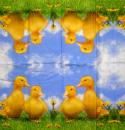 068 Ducks - 4-ply - Paper Design - Handkerchief