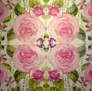 355 Rosen - 3-lagig - ppd - Color Bakery