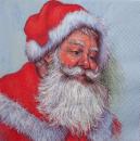 060 Santa Others - 3-ply (blue) - Home Fashion