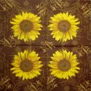 117 Sonnenblumen - 3-lagig