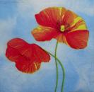 085 Anemonen, Mohn - 3-lagig