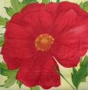 087 Anemonen, Mohn - 3-lagig - Duni
