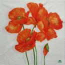 088 Anemones, Poppy - 3-ply - Fasana