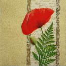 091 Anemonen, Mohn - 3-lagig (creme)
