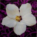 039 Magnolias - 3 ply (purple) - Avantgarde