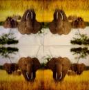 026 Elephant - 3-ply - Paper Design
