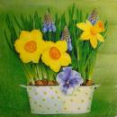 084 Daffodils - 3-ply - Paper Design