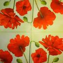 184 Anemones, Poppy - 3-ply (grün) - Paw