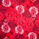 400 Rosen - 3-lagig