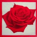 413 Roses - 3-ply