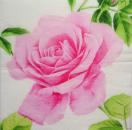 421 Roses - 3-ply