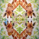 013 Giraffe (xxx) - 3-ply - (Spot !) - ppd - C.Pabst