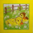 112 Enten - 3-lagig (gelb) - ti-flair