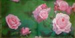 126 Roses - 3-ply - Ihr - The National Trust
