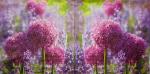 155 Flowers Others - 3-ply - Ambiente