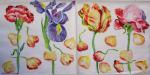 098 Tulips - 3-ply (weiß) - MOLCA