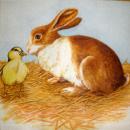 090 Rabbits:  natürlich - 3-ply