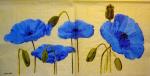 035 Anemones, Poppy - 3-ply - (blue) - Ladies Mol / Molca