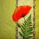 091 Anemonen, Mohn - 3-lagig (grün)