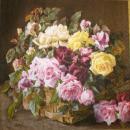 087 Rosen - 3-lagig