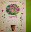095 Roses