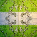 081 Schmetterlinge - 3 lagig - Paper Design - CS