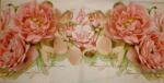 100 Rosen - 3-lagig - Home Fashion
