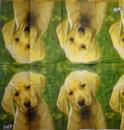 006 Dogs - 4-ply - Sniff - ppd - The Image Bank - Handkerchief