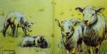087 Schafe - 3-lagig - Molca