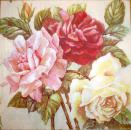 113 Roses - 3-ply - Susy Card