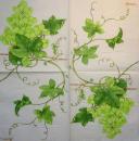 084 Grapes - 3-ply  (creme/grün)- Stewo