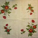 538 Roses - 3-ply -  (cream) - Paw