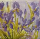 107 Lilies - 3-ply - Ashdene - CS