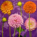 198 Flowers Others - 3-ply - Paper Design