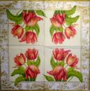 119 Tulips - 3-ply (cream) - Ihr - Künstler