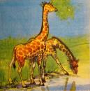 015 Giraffe - 3-ply