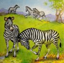 031 Zebra - 3-ply