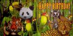 133 Animals Africa: Divers - 3-ply - Cary Rillo