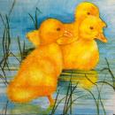 128 Ducks - 3-ply - Ambiente
