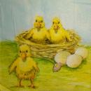 134 Ducks - 3-ply