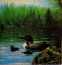 146 Enten - 3-lagig - Charles Keller - CS