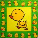 081 Ducks - 3-ply (grün)