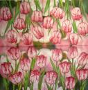 159 Tulpen - 3-lagig - Molca