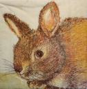 051 Rabbits:  natürlich - 3-ply - Atelier