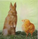 047 Rabbits:  natürlich - 3 ply - Home Fashion
