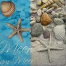067 Muscheln - 3-lagig